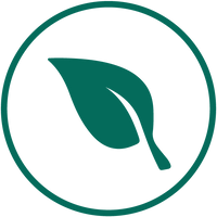 Real fruit icon
